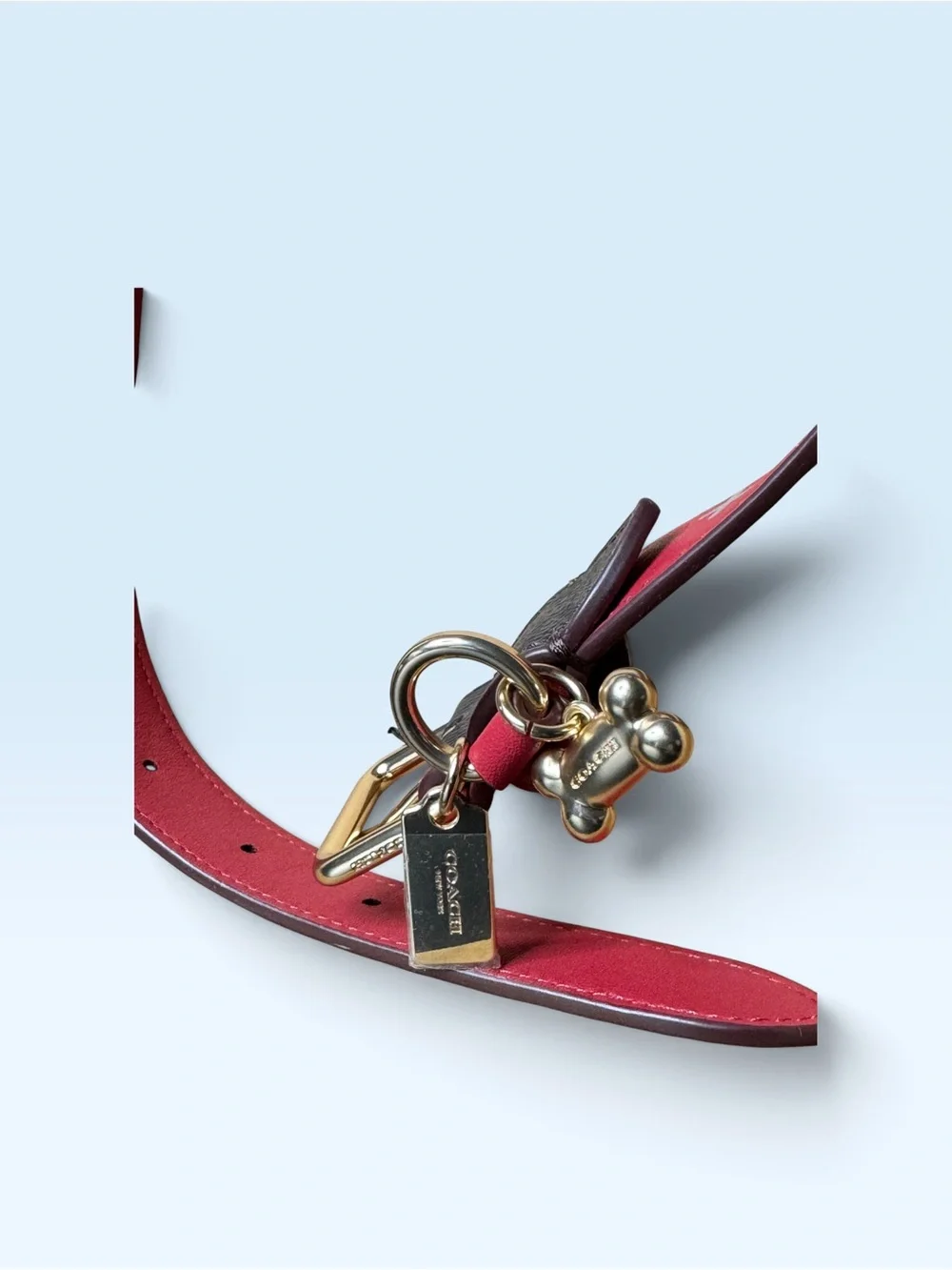 Coach Large Red Black Dog Collar